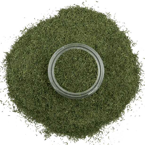 Dill Weed - Image 4